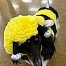 Bella joined the competition — help win amazing prizes! dog, bumblebee_costume, costume, yellow, black, silver, pet, animal, portrait, long_hair, floppy_ears, nose, eyes, furry, dressed_up, indoors, floor, cute, funny, closeup