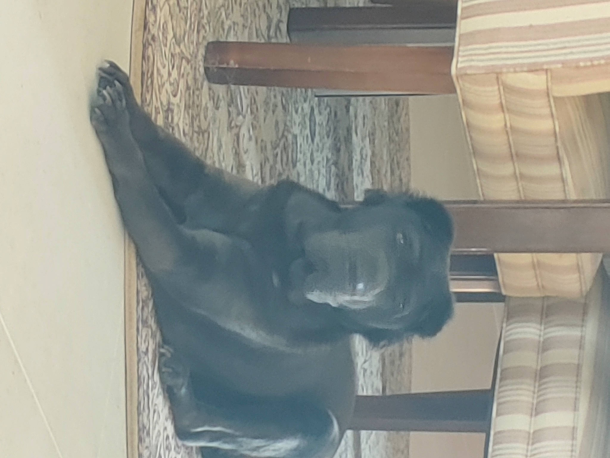 Hennessy is registered to the contest to win money with this photo: art, building, carving, classical_sculpture, elbow, gesture, grey, hardwood, human_leg, metal, molding, monument, plaster, room, sculpture, statue, visual_arts, water, wood, wrist