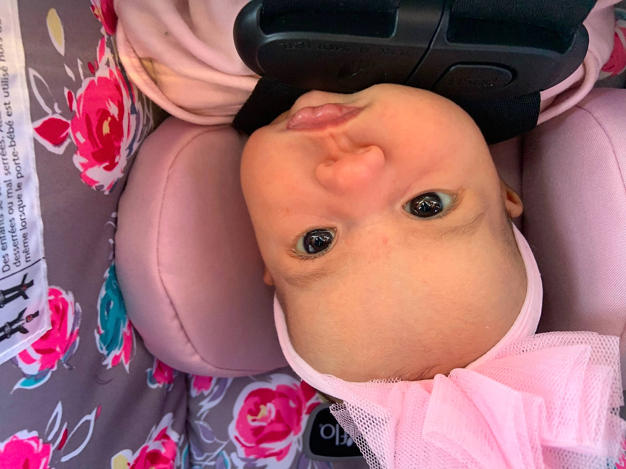 Azalea joined the competition — help win amazing prizes! baby, baby_products, cap, car_seat, cheek, eyelash, fashion_accessory, happy, hat, headgear, headwear, lip, mouth, nose, person, pink, skin, smile, toddler, vehicle_door