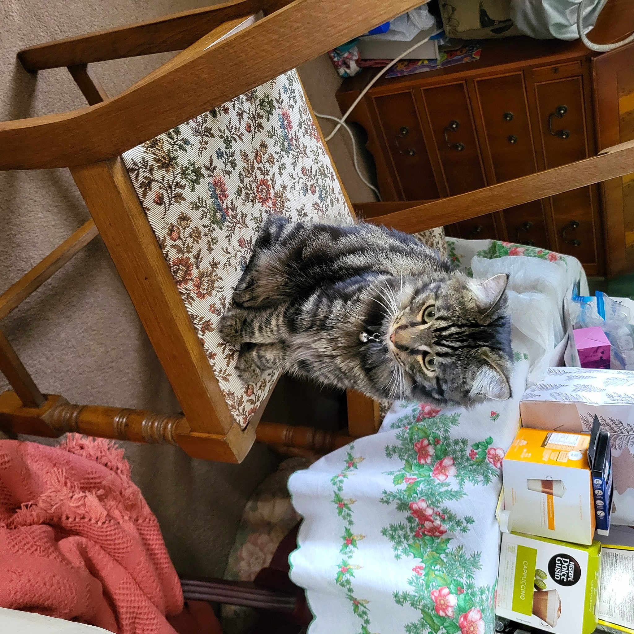 Merlin