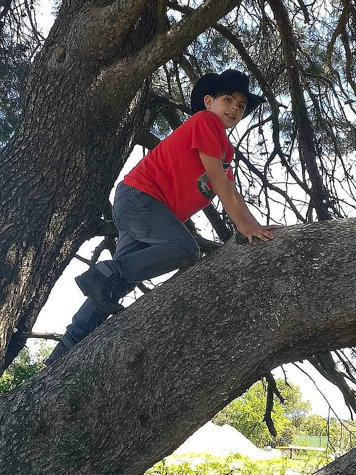 Nolann participe au concours pour gagner de l'argent avec cette photo : backpack, boot, botany, elbow, grass, hat, headwear, jeans, knee, leisure, luggage_and_bags, people_in_nature, person, plant, recreation, sky, t_shirt, tree, trunk, twig