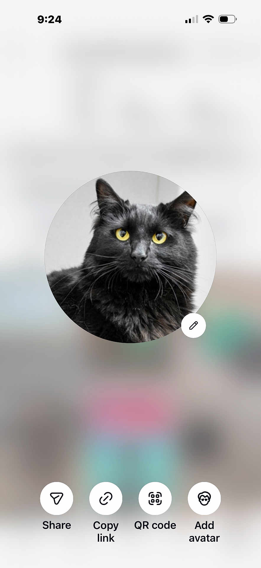 Xena is registered to the contest to win money with this photo: cat, black_cat, yellow_eyes, whiskers, long_fur, pet, animal, portrait, avatar, profile_picture, circular_crop, close_up, ears, indoor, smartphone_screenshot, app_ui, icons, blurred_background, share_button, qr_code