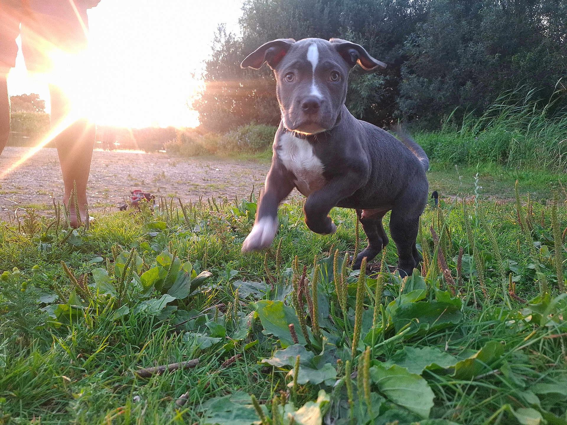 Odin