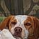 Benson