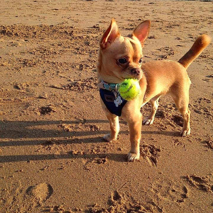 Theo joined the competition — help win amazing prizes!