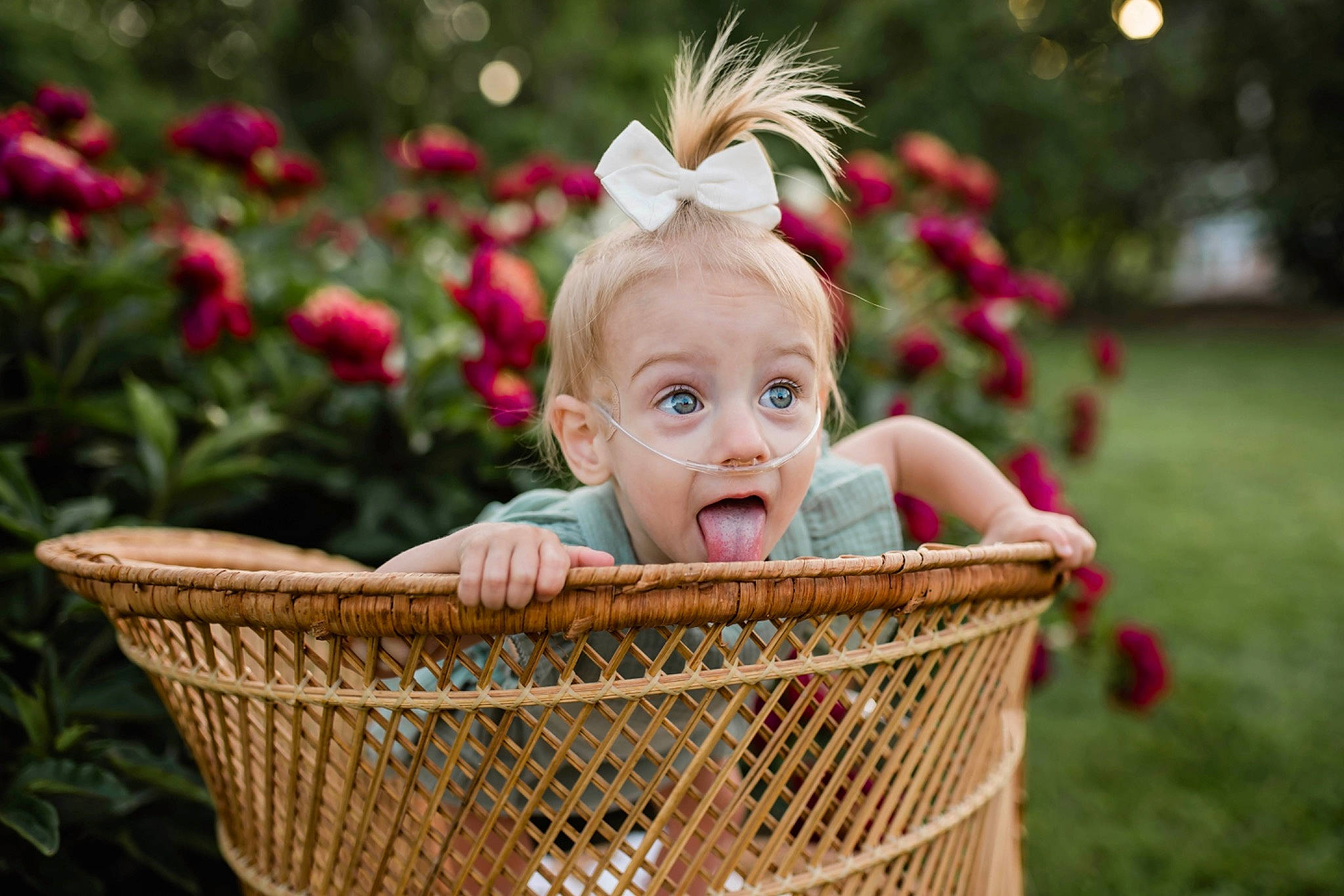 Sawyer joined the competition — help win amazing prizes! baby, baby_toddler_clothing, basket, beauty, child, facial_expression, grass, grass_family, happy, leisure, people_in_nature, person, photograph, pink, plant, smile, storage_basket, summer, surprise, toddler