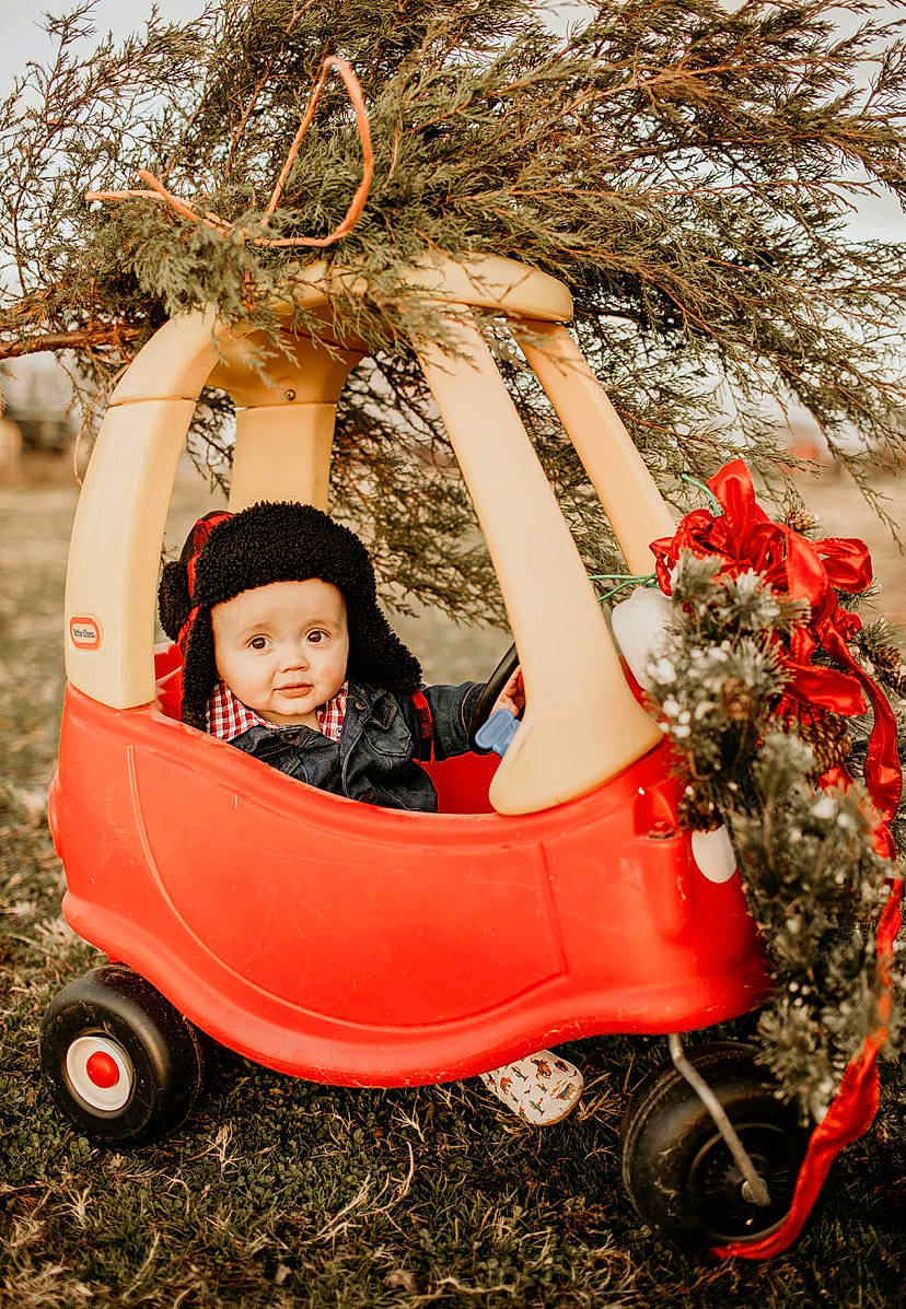 Tripp is registered to the contest to win money with this photo: baby, baby_carriage, baby_products, baby_toddler_clothing, cart, child, fun, grass, happy, headwear, leisure, motor_vehicle, people_in_nature, person, plant, sitting, tire, toddler, tree, vehicle