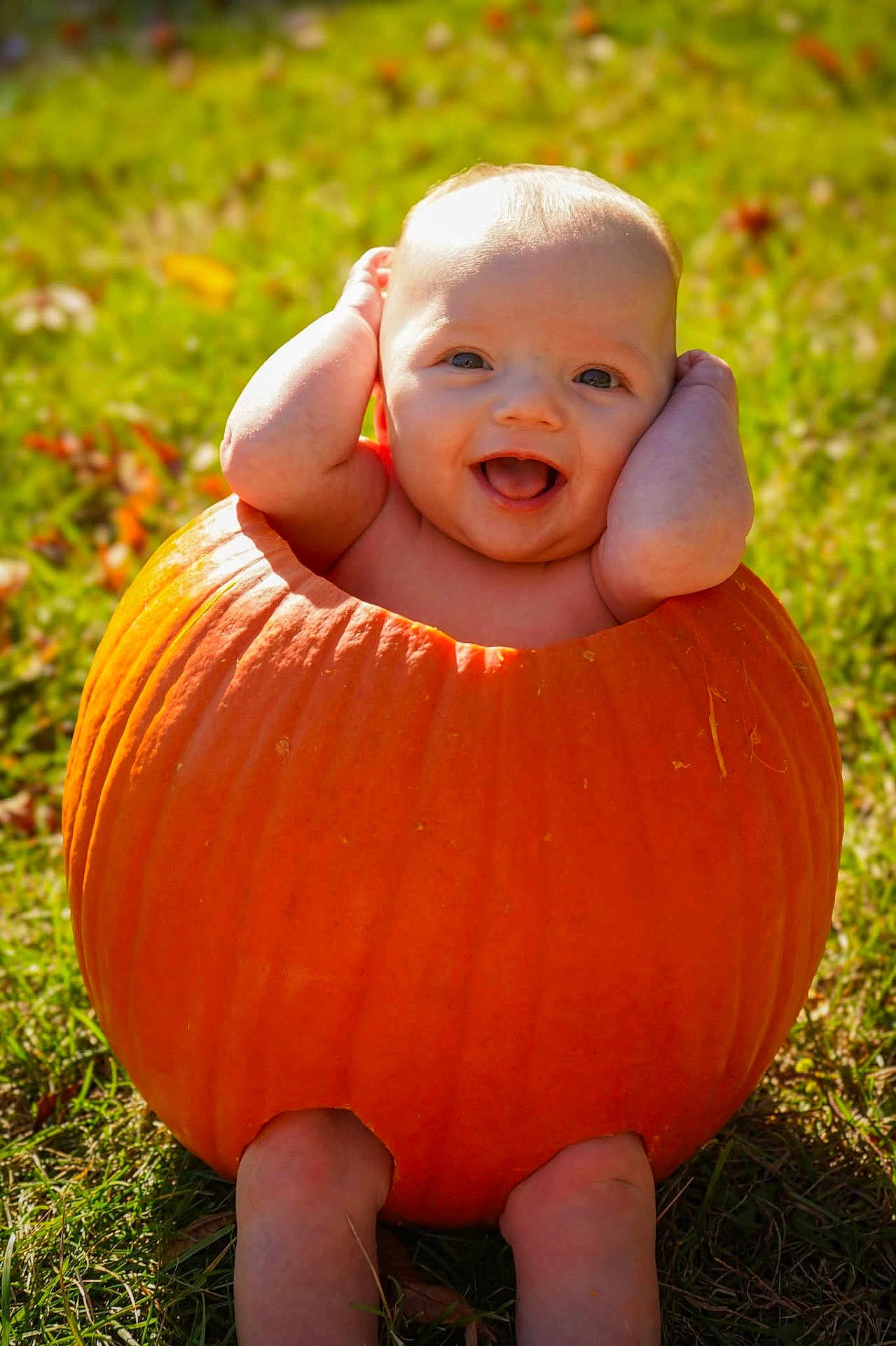 Rose is registered to the contest to win money with this photo: baby, pumpkin, grass, outdoor, smile, happy, cute, child, fall, autumn, nature, sunlight, playful, seasonal, person, portrait, skin, head, legs, holiday