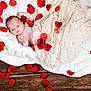Rose is registered to the contest to win money with this photo: baby, newborn, infant, lace, blanket, rose_petals, red, white, wooden_floor, soft, wrapped, portrait, cute, small, face, skin, laying, cozy, peaceful, indoors