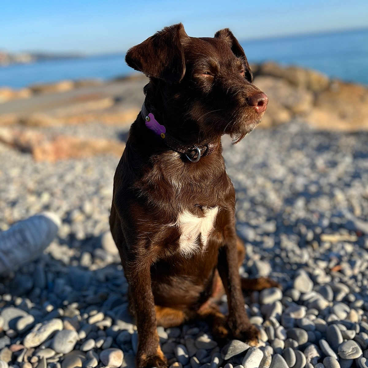 Mia