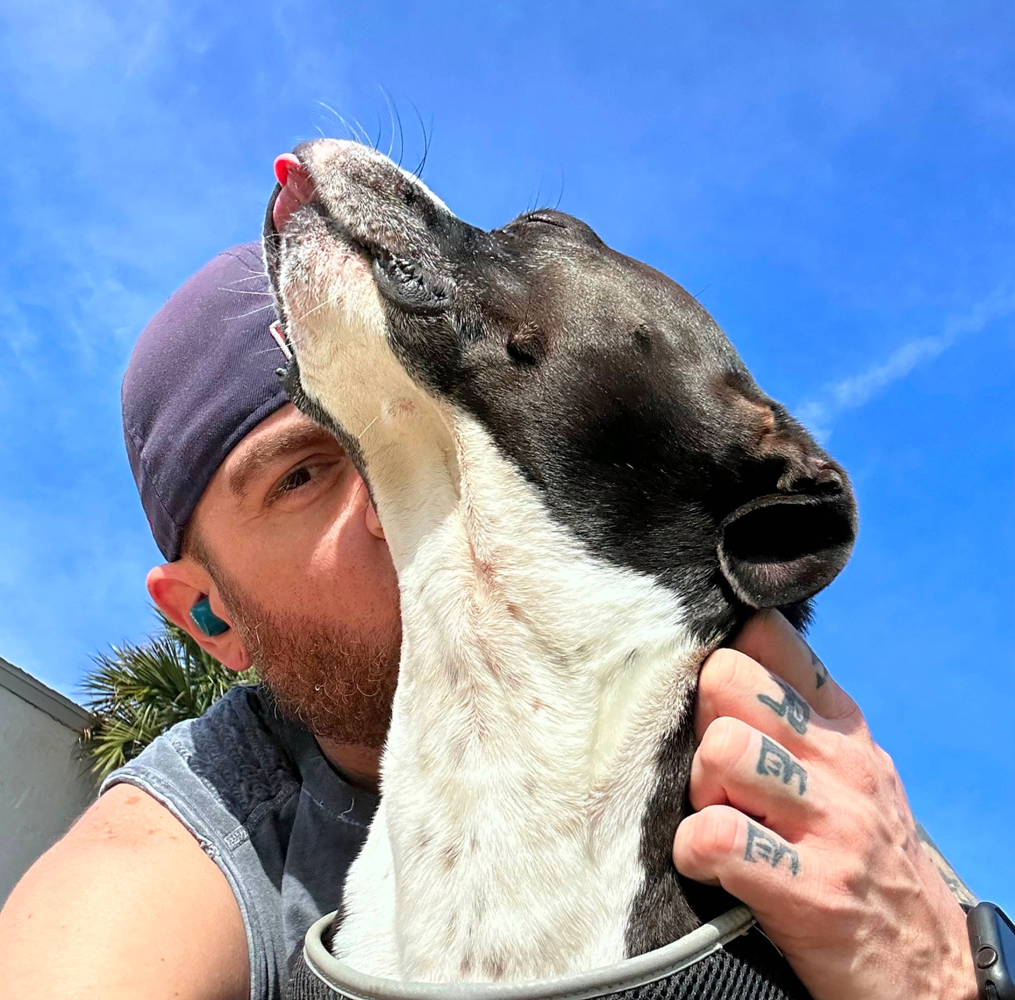 Boots is registered to the contest to win money with this photo: baseball_cap, beard, cap, cloud, fawn, gesture, goats, happy, jaw, landscape, livestock, nail, pack_animal, people_in_nature, sky, snout, thumb, travel, wildlife_biologist, working_animal