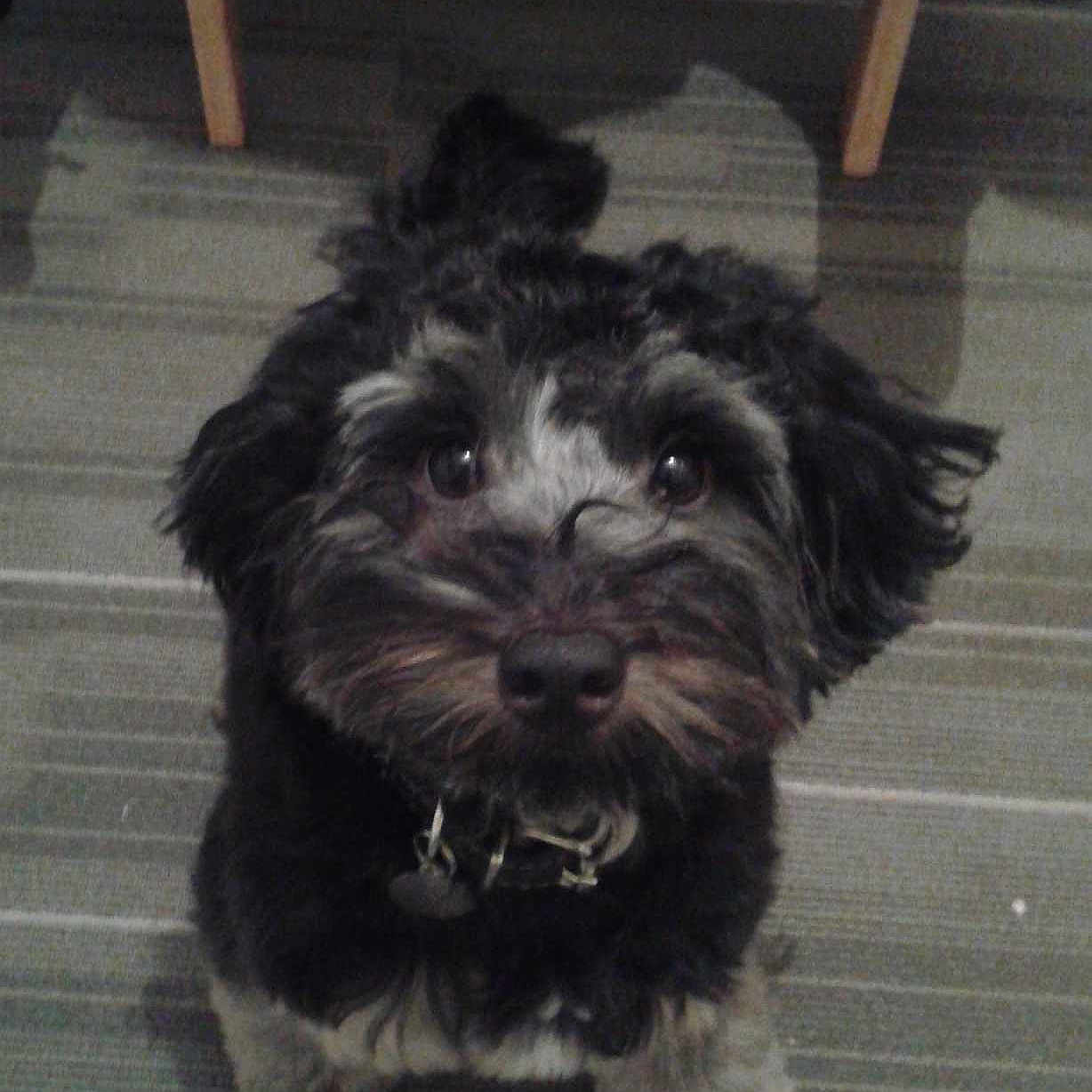 Clark is registered to the contest to win money with this photo: