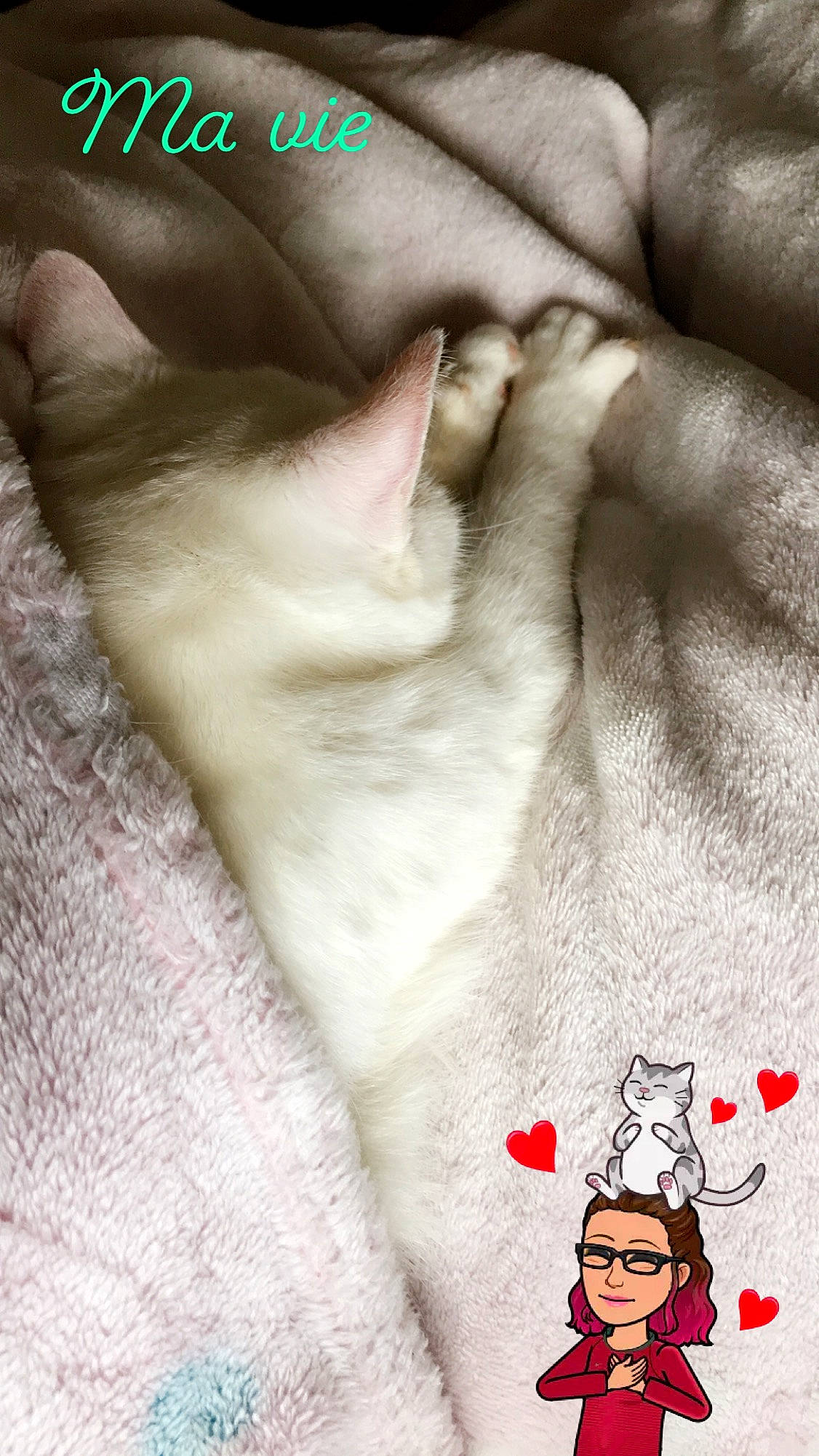 Athéna a rejoint le concours — aidez-le/la à gagner de superbes lots ! cat, claw, ear, felidae, finger, flesh, foot, gesture, hand, leg, lip, nail, neck, paw, photo_caption, photography, skin, small_to_medium_sized_cats, whiskers