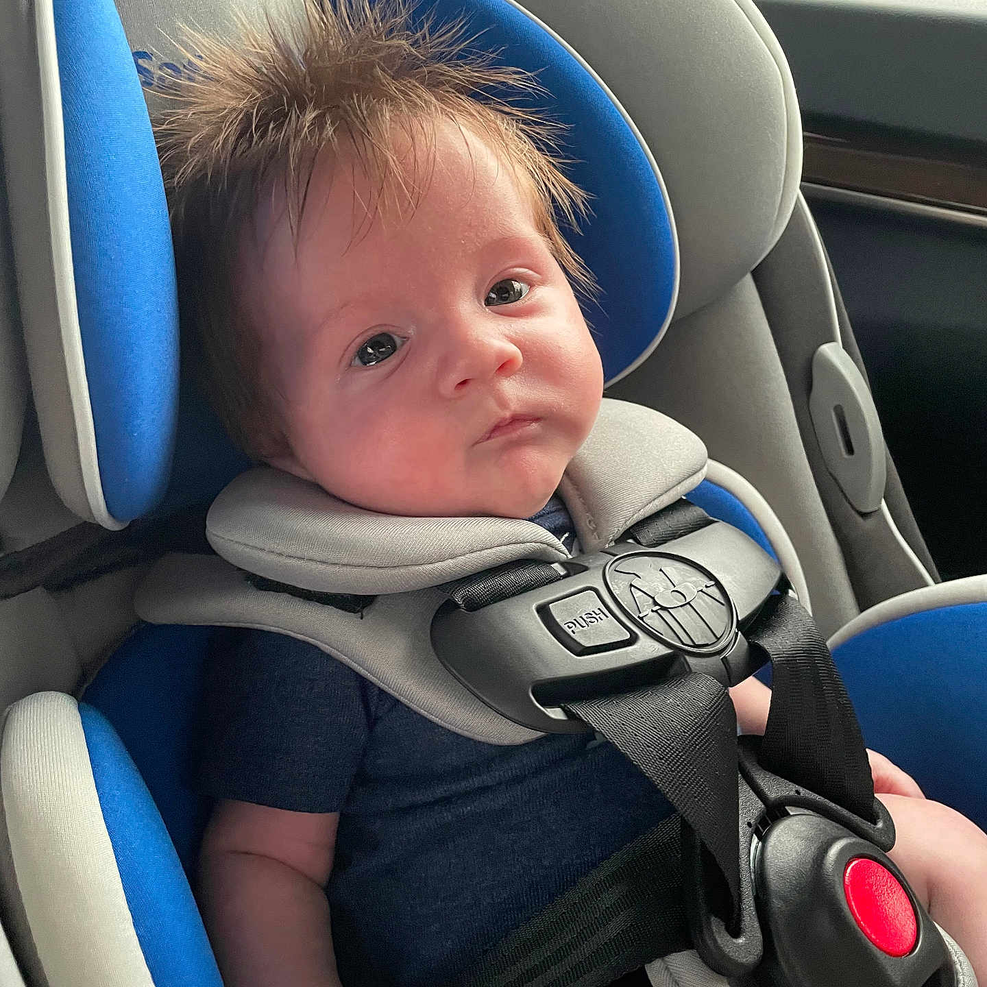 Greyson is registered to the contest to win money with this photo: accessories, baby, belt, bodypart, car, car_interior, carseat, cushion, face, finger, hand, head, headrest, homedecor, person, photography, portrait, sitting, transportation, vehicle