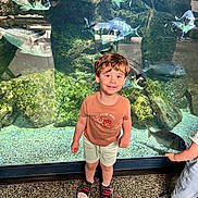 Ethan a rejoint le concours — aidez-le/la à gagner de superbes lots ! child, boy, aquarium, fish, tank, water, rocks, smile, shorts, tshirt, shoes, indoor, curious, playful, reflection, glass, standing, young, person, exhibit
