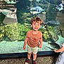 child, boy, aquarium, fish, tank, water, rocks, smile, shorts, tshirt, shoes, indoor, curious, playful, reflection, glass, standing, young, person, exhibit