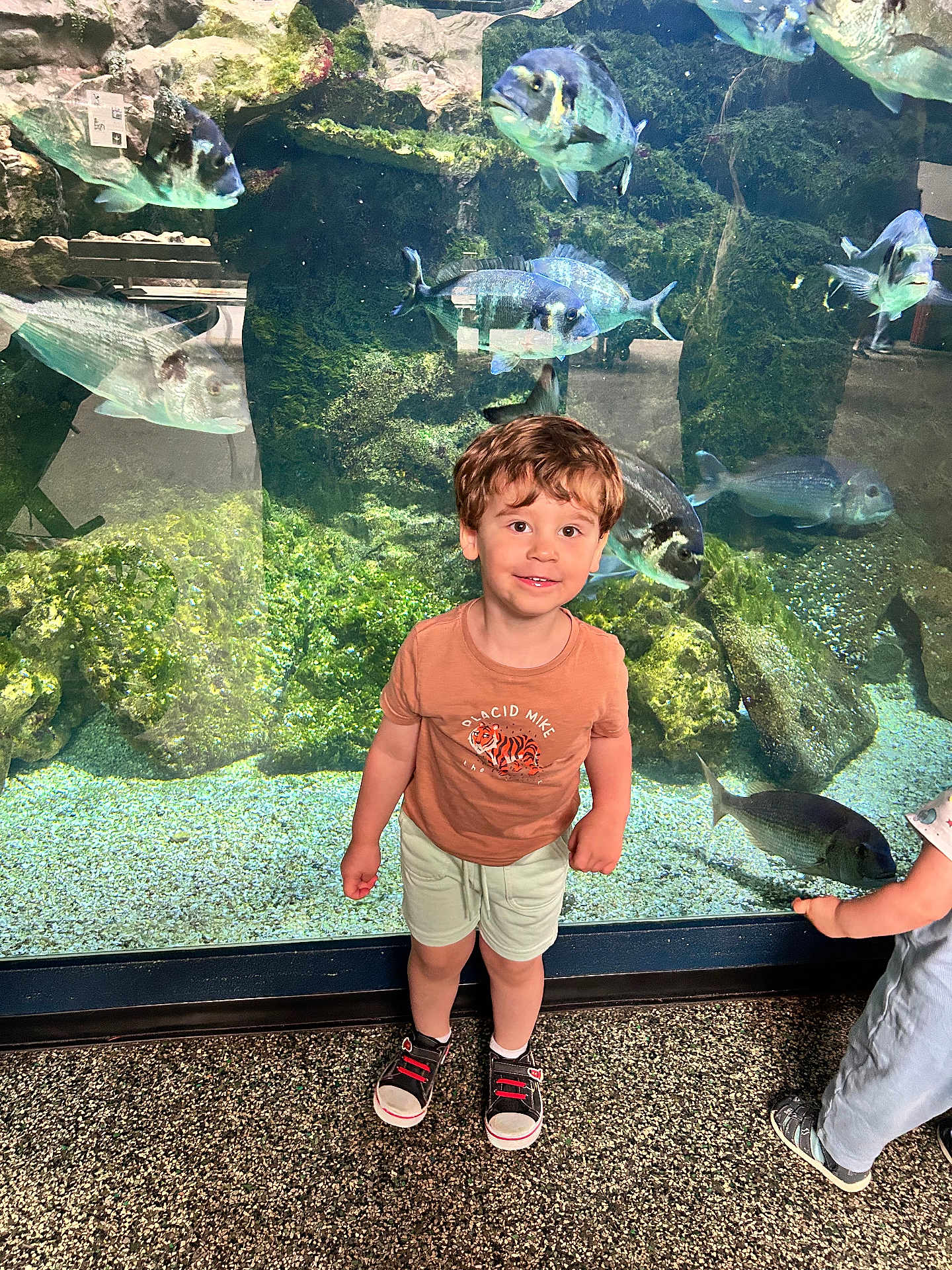 Ethan a rejoint le concours — aidez-le/la à gagner de superbes lots ! child, boy, aquarium, fish, tank, water, rocks, smile, shorts, tshirt, shoes, indoor, curious, playful, reflection, glass, standing, young, person, exhibit