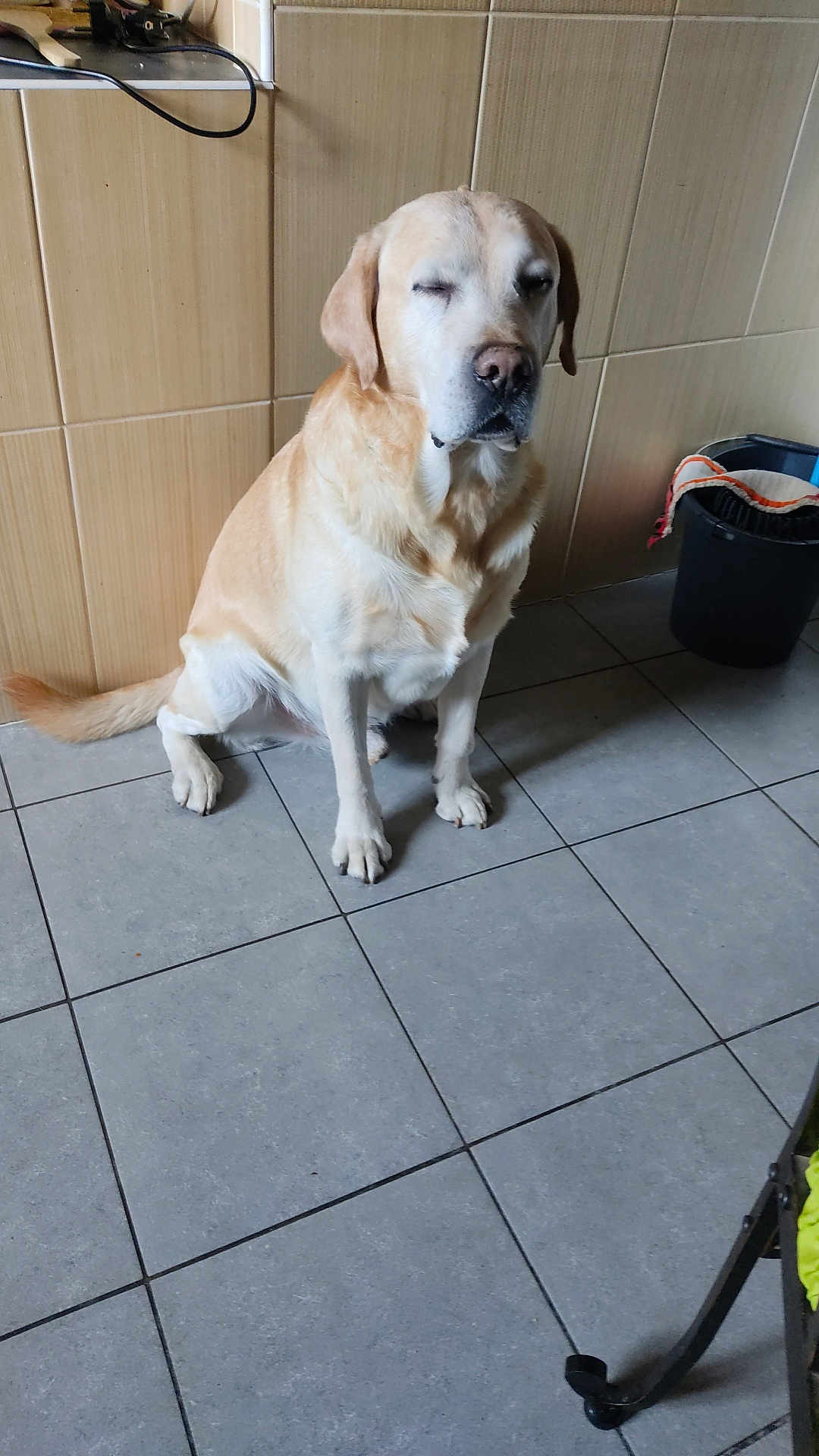 Simba