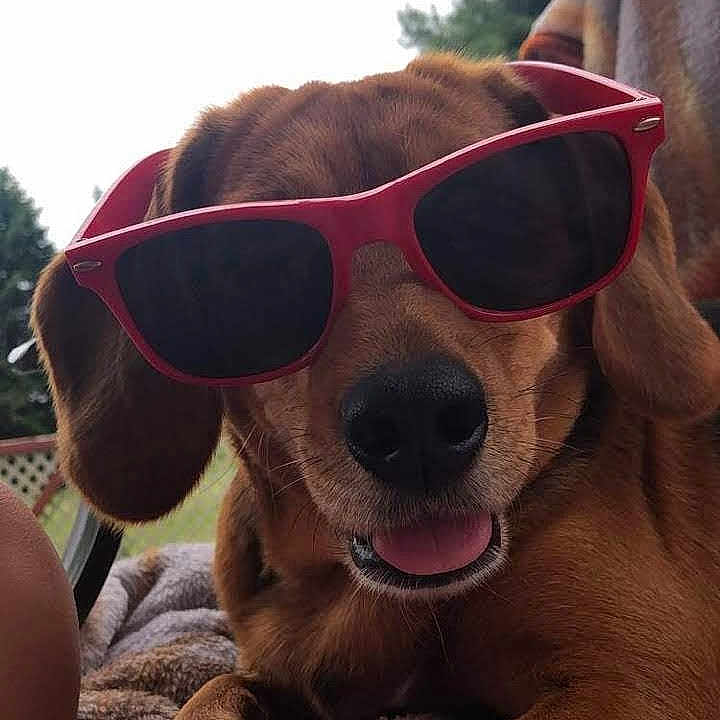 Bailey