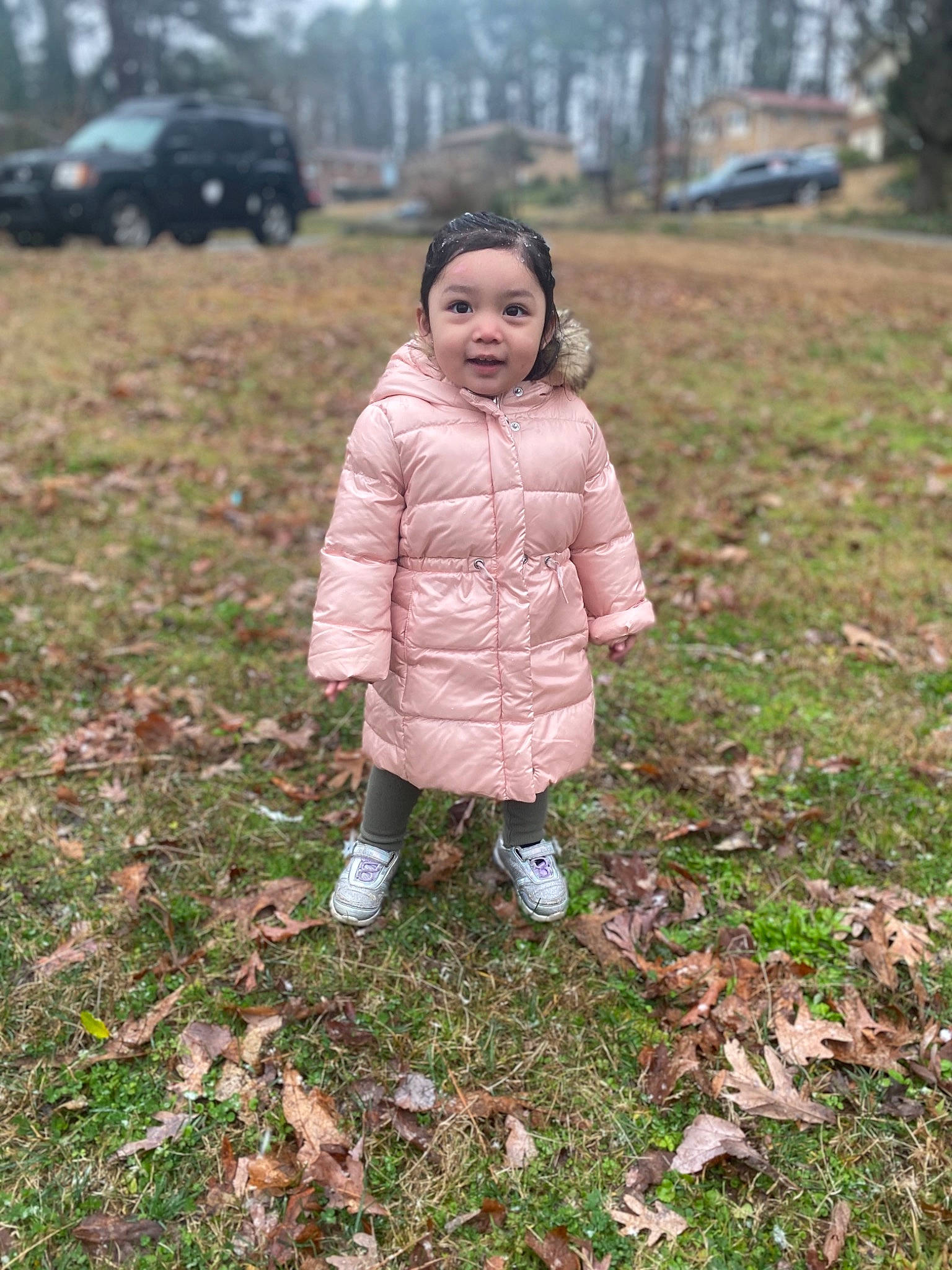 Angela joined the competition — help win amazing prizes! child, face, grass, jacket, leaf, outerwear, people, person, photograph, photography, plant, play, soil, toddler, tree, winter