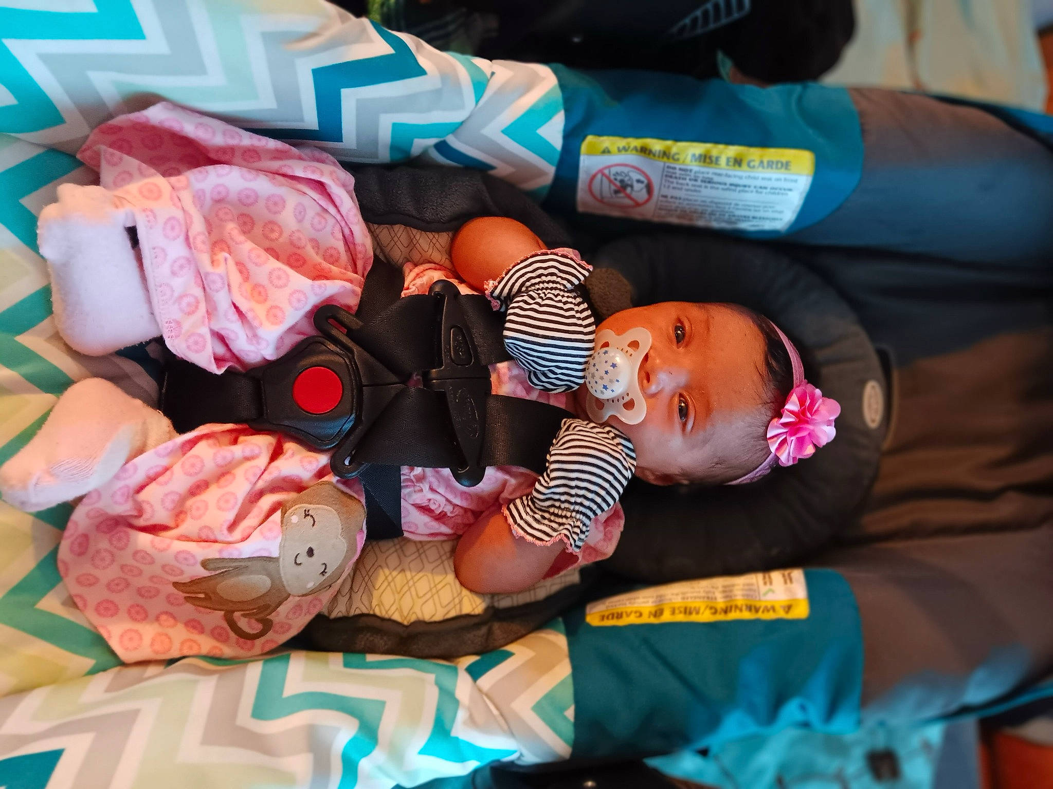 Khaleesi joined the competition — help win amazing prizes! baby, baby_carriage, baby_products, baby_toddler_clothing, car_seat, child, comfort, fun, linens, nap, orange, peach, person, pink, room, sitting, sleep, textile, toddler, tree