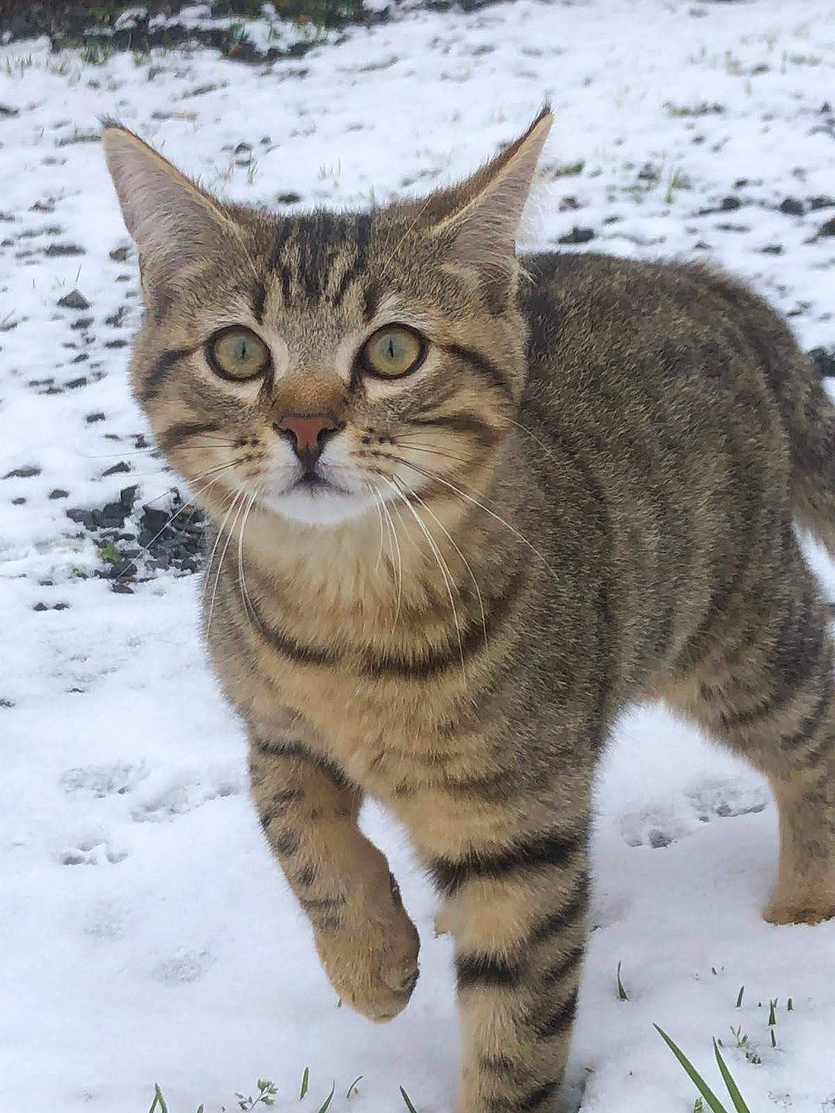 Leo