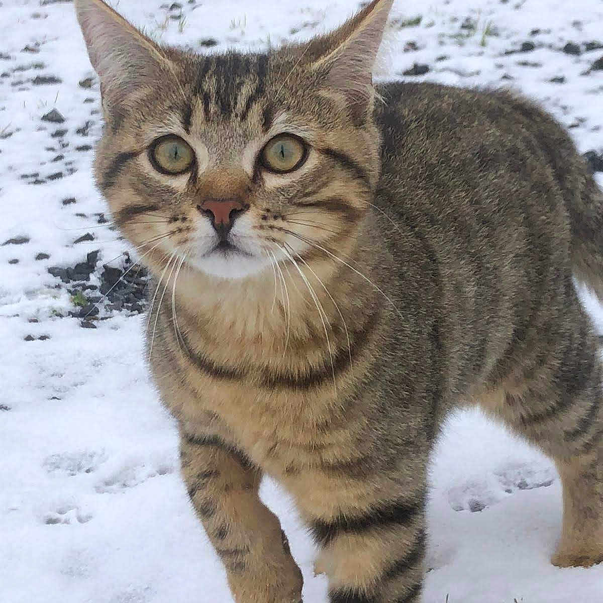 Leo