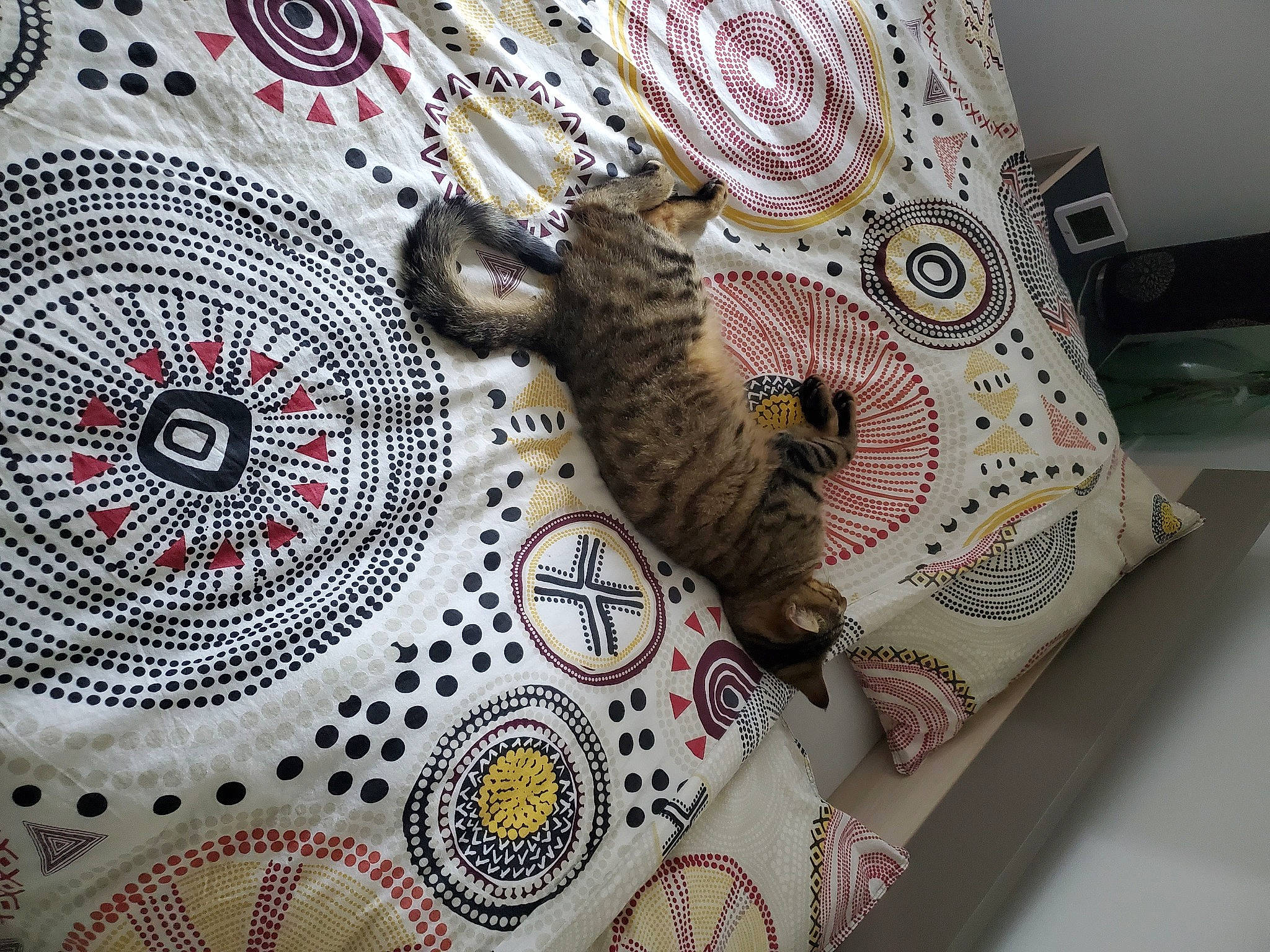 Leo a rejoint le concours — aidez-le/la à gagner de superbes lots ! art, carnivore, cat, circle, doily, domestic_short_haired_cat, fashion_accessory, felidae, font, fur, linens, motif, needlework, pattern, porcelain, serveware, small_to_medium_sized_cats, tablecloth, tail, whiskers