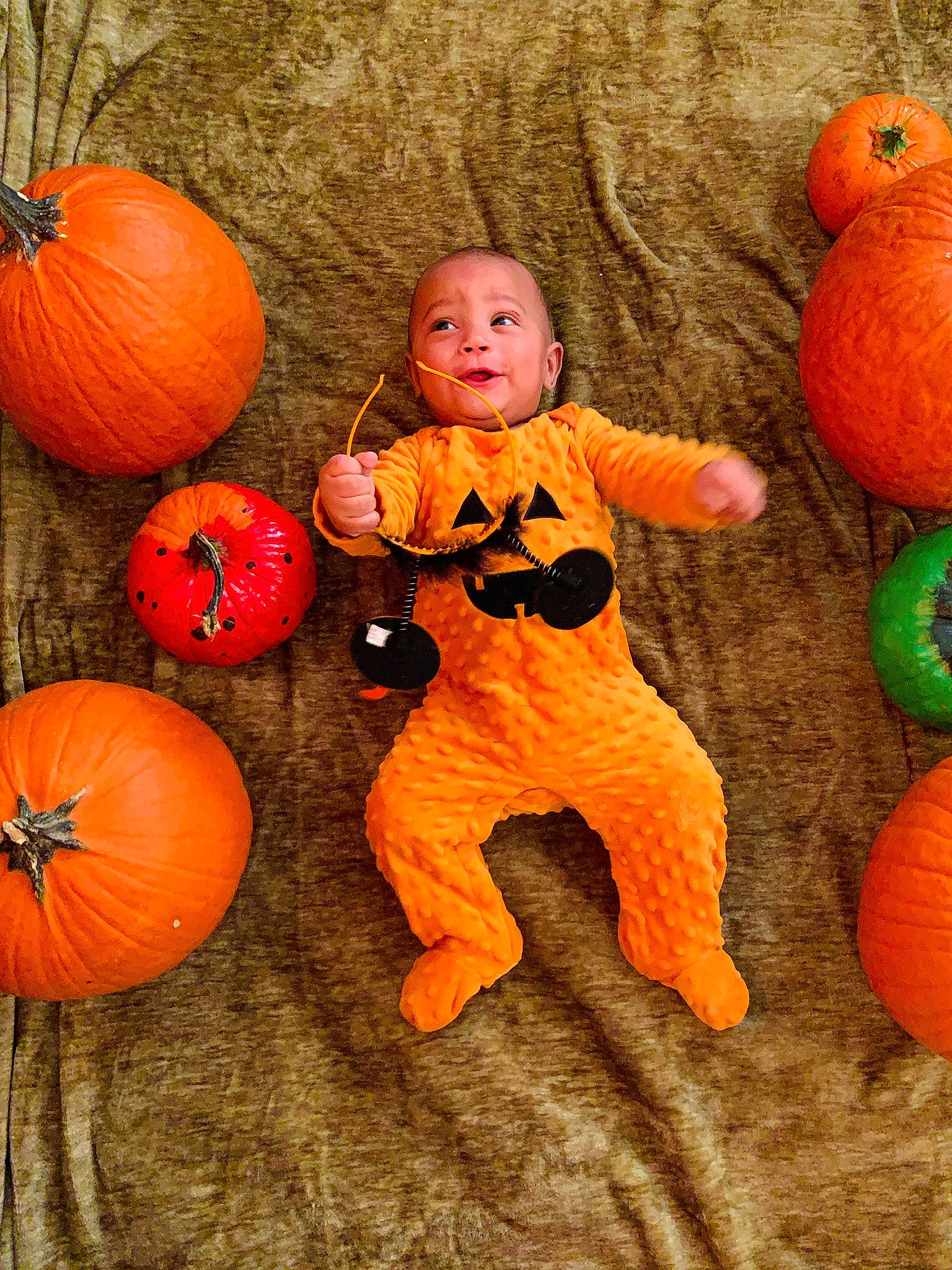 Xavier joined the competition — help win amazing prizes! _and_melon_family, _gourd, calabaza, child, cucumber, cucurbita, food, fruit, gourd, orange, person, plant, produce, pumpkin, squash, toddler, vegetable, vegetarian_food, winter_squash