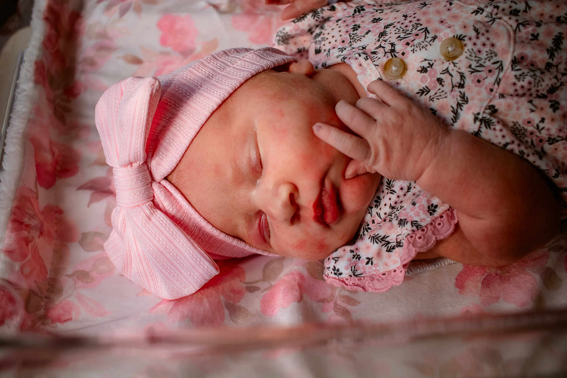 Delaney