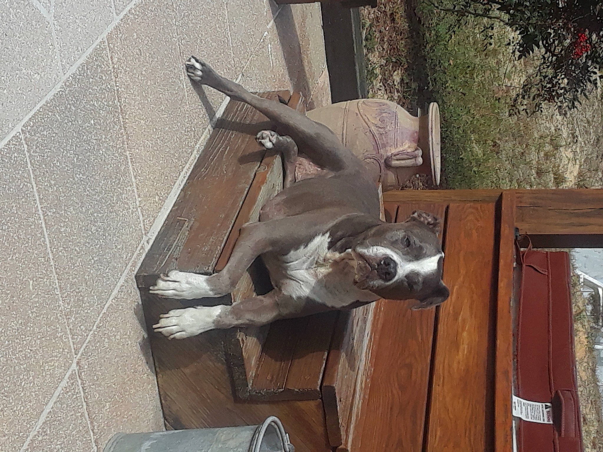 Kiley is registered to the contest to win money with this photo: fawn, snout