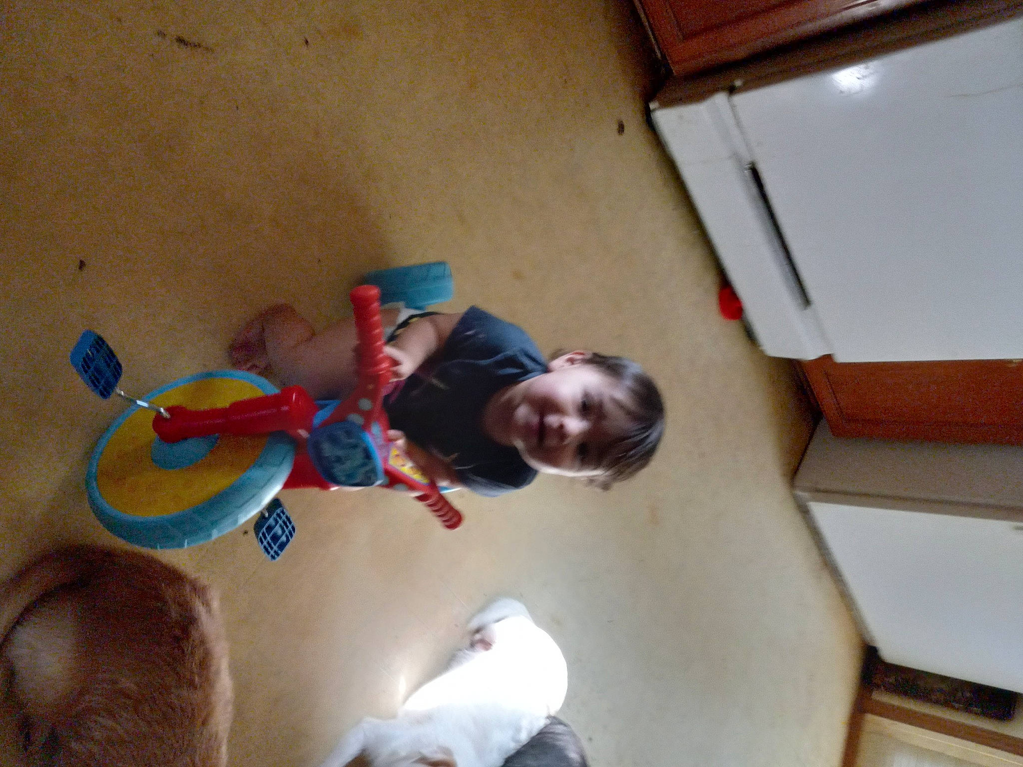 Eva is registered to the contest to win money with this photo: baby, ceiling, child, floor, flooring, fun, happy, hardwood, hat, house, landscape, leisure, person, play, recreation, room, smile, t_shirt, toddler, water