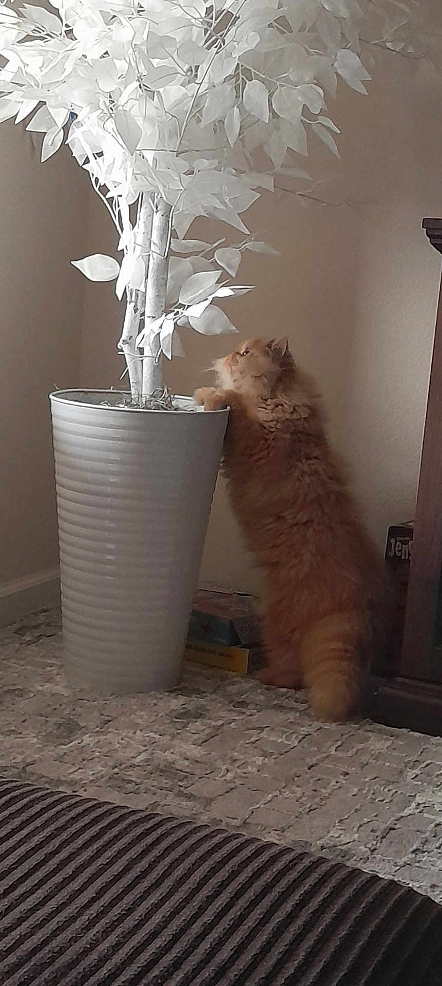 Milo