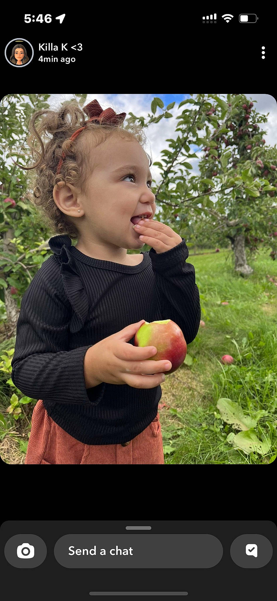 Zailee joined the competition — help win amazing prizes! apple, ball, child, food, fruit, fun, grass, happy, leaf, local_food, malus, natural_foods, people_in_nature, person, plant, produce, rose_family, superfood, toddler, tree