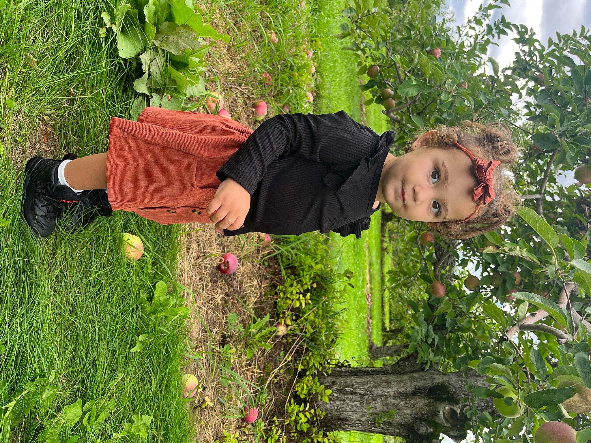 Zailee is registered to the contest to win money with this photo: botany, flower, garden, grass, grassland, groundcover, happy, headwear, human_leg, people_in_nature, person, plant, shrub, sleeve, smile, soil, t_shirt, thigh, toddler, tree