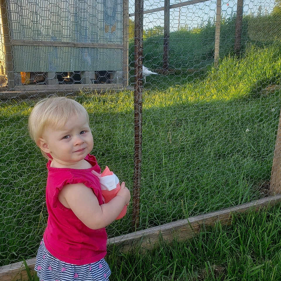 Charlotte is registered to the contest to win money with this photo: baby, backyard, ball, clothing, dress, face, fence, football, grass, head, nature, outdoors, person, photography, plant, portrait, soccer, soccerball, sport, yard