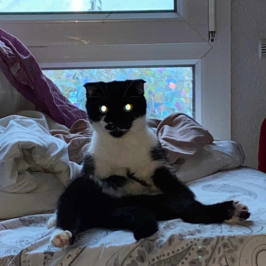 Perlina