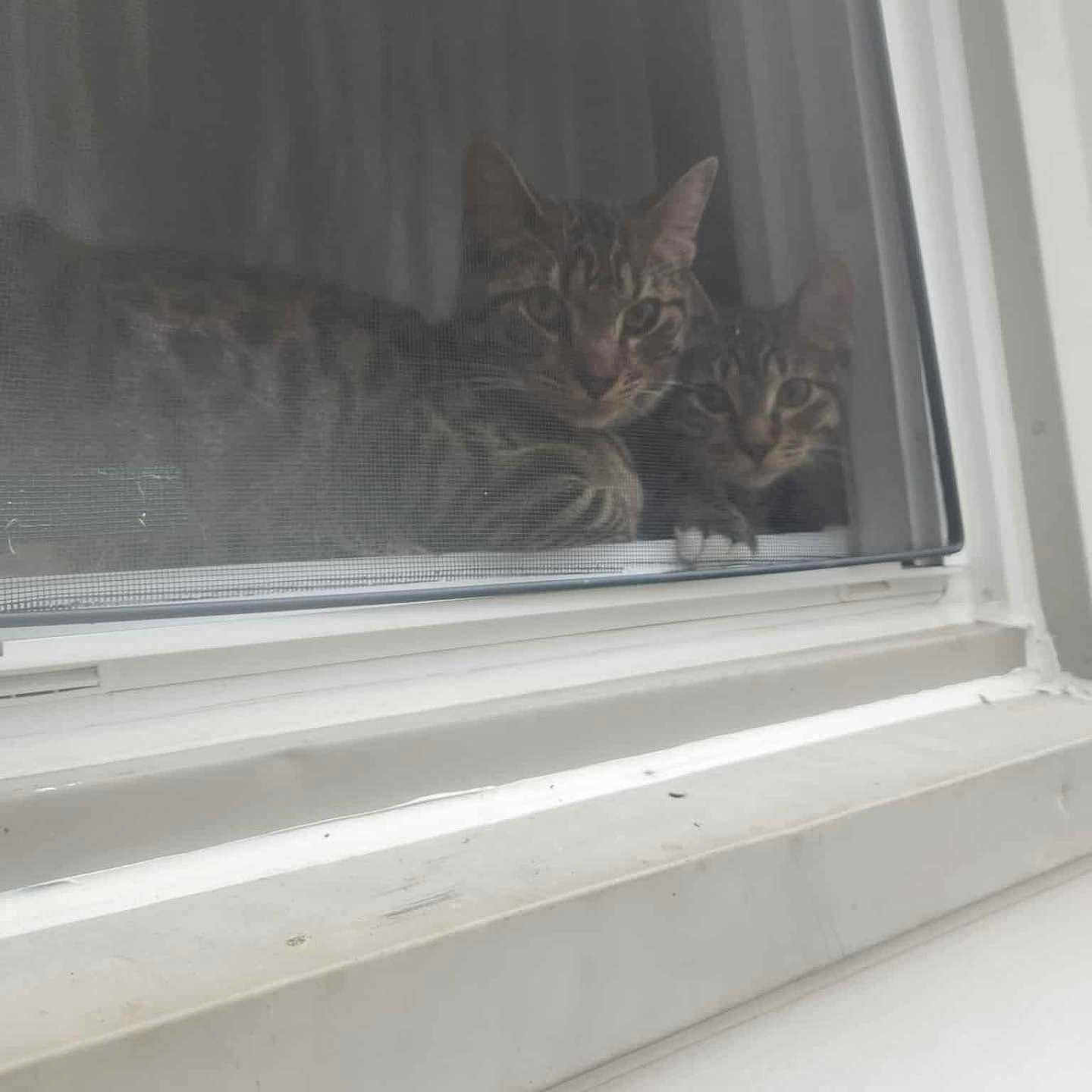 Zeus And Marble