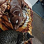 dog, cat, blanket, sleeping, pet, brown_dog, striped_cat, indoor, carpet, cozy, relaxed, animal, fur, whiskers, paws, nap, resting, companion, domestic, home