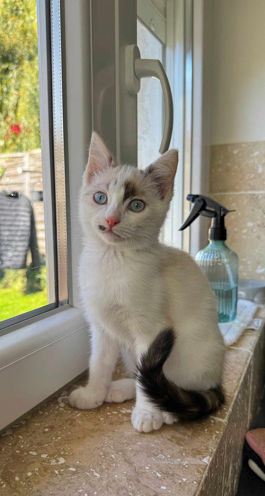 Milky