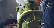 Kilo joined the competition — help win amazing prizes! dog, white_dog, plush_toy, turtle_toy, indoor, tiled_floor, second_dog, bed, blanket, decorations, furniture, pet, cute, animal, looking, sitting, room, household, toy, playful
