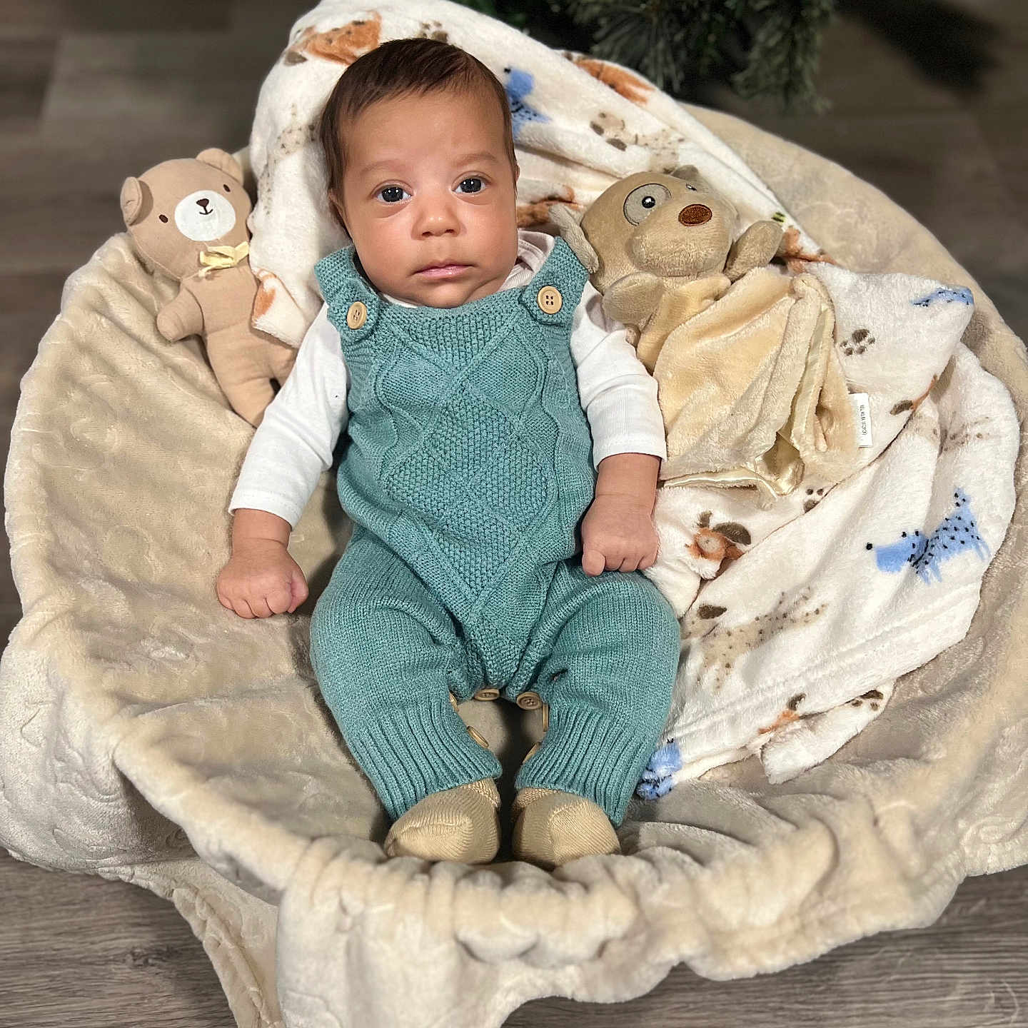 Noriel joined the competition — help win amazing prizes! baby, basket, blanket, child, christmas_decoration, cozy, cute, face, floor, greenery, indoor, infant, knitted_clothing, person, portrait, romper, soft_texture, stuffed_animal, toy, wooden_floor