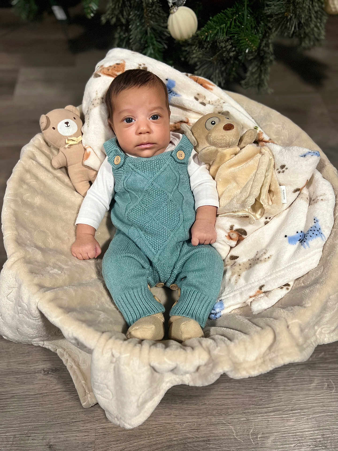 Noriel joined the competition — help win amazing prizes! baby, infant, knitted_clothing, romper, blanket, stuffed_animal, toy, basket, floor, wooden_floor, greenery, christmas_decoration, indoor, person, face, cute, soft_texture, cozy, child, portrait