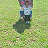 child, toddler, adult, grass, outdoor, sunlight, smiling, holding_hands, dress, shirt, bow_tie, shadow, happy, standing, greenery, nature, footwear, person, field, support