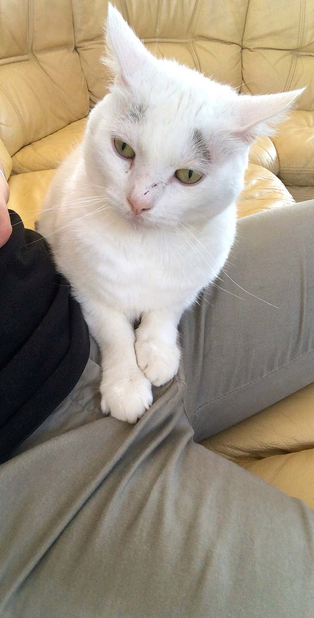 Freezbye participe au concours pour gagner de l'argent avec cette photo :