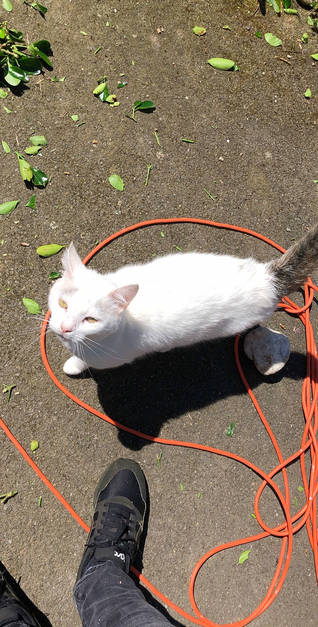 Freezbye a rejoint le concours — aidez-le/la à gagner de superbes lots !