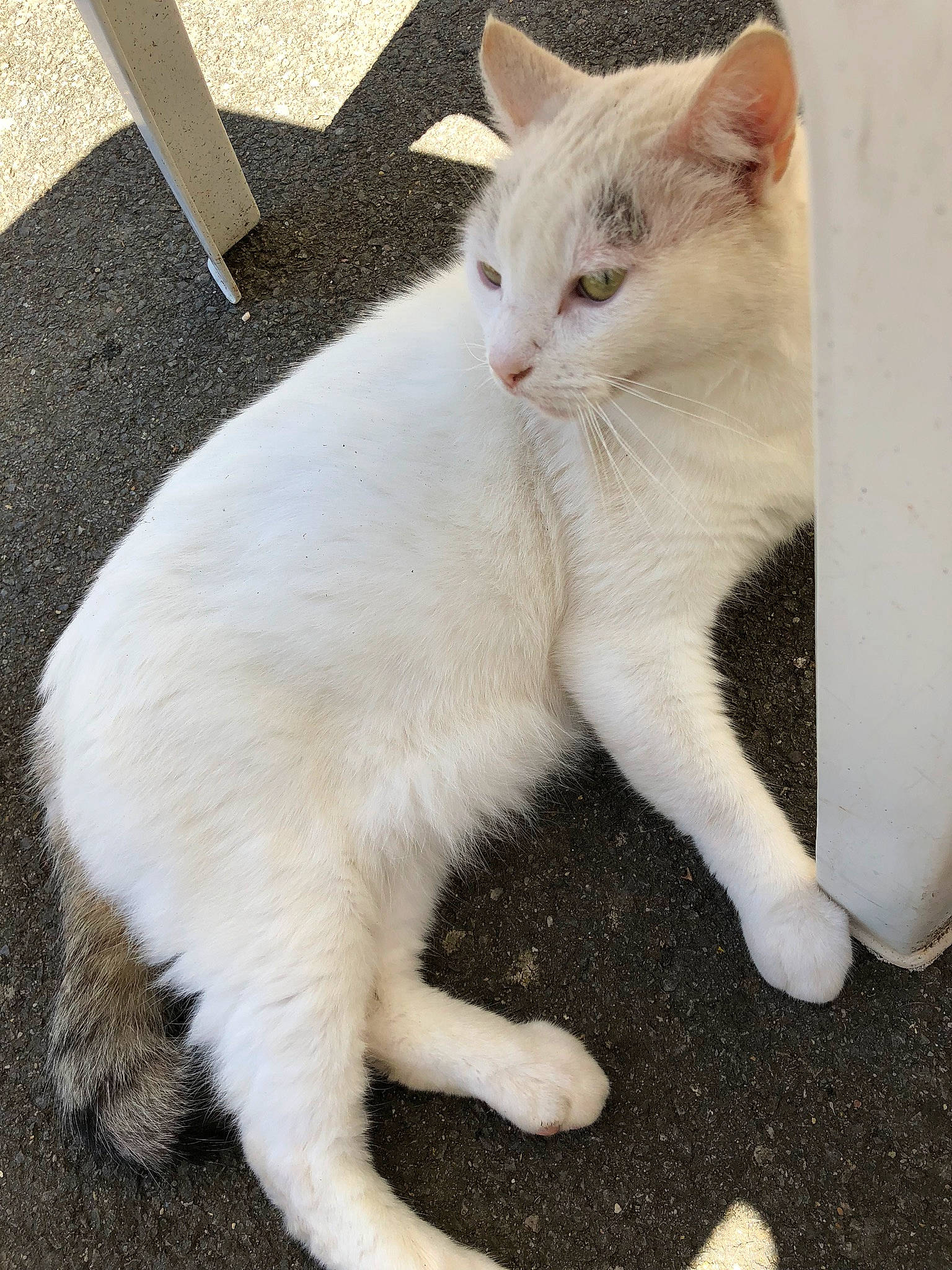 Freezbye participe au concours pour gagner de l'argent avec cette photo :