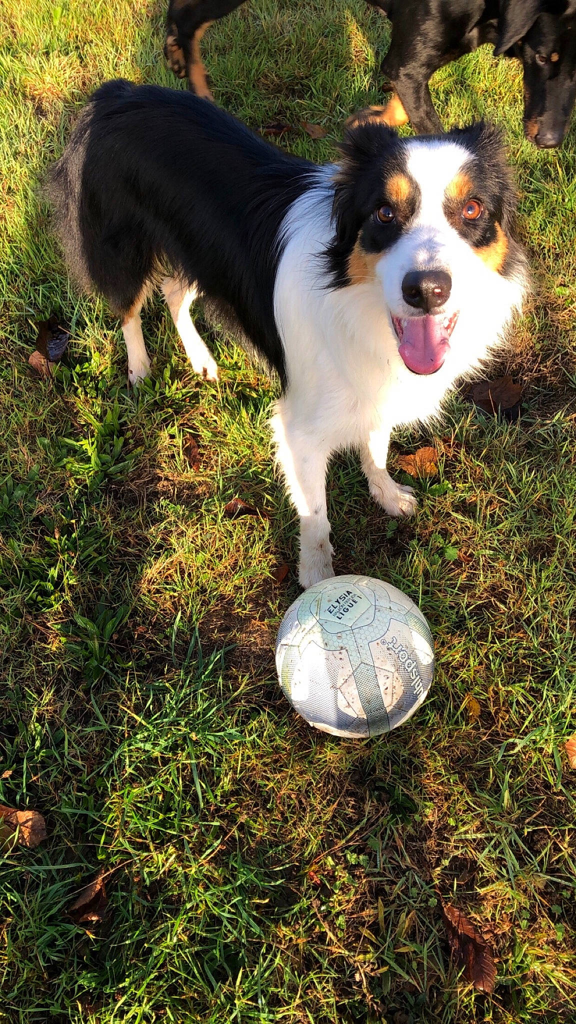 Marley participe au concours pour gagner de l'argent avec cette photo :