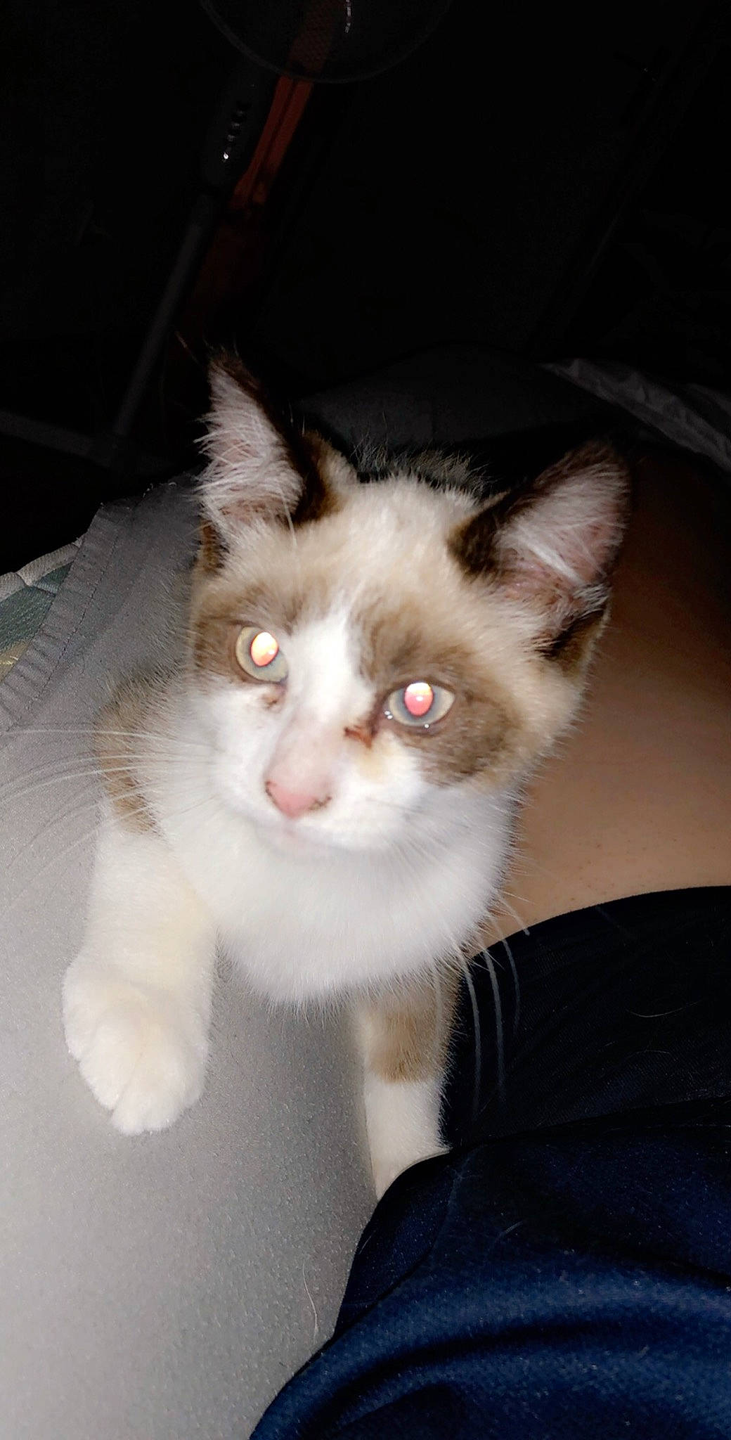 Rox participe au concours pour gagner de l'argent avec cette photo :