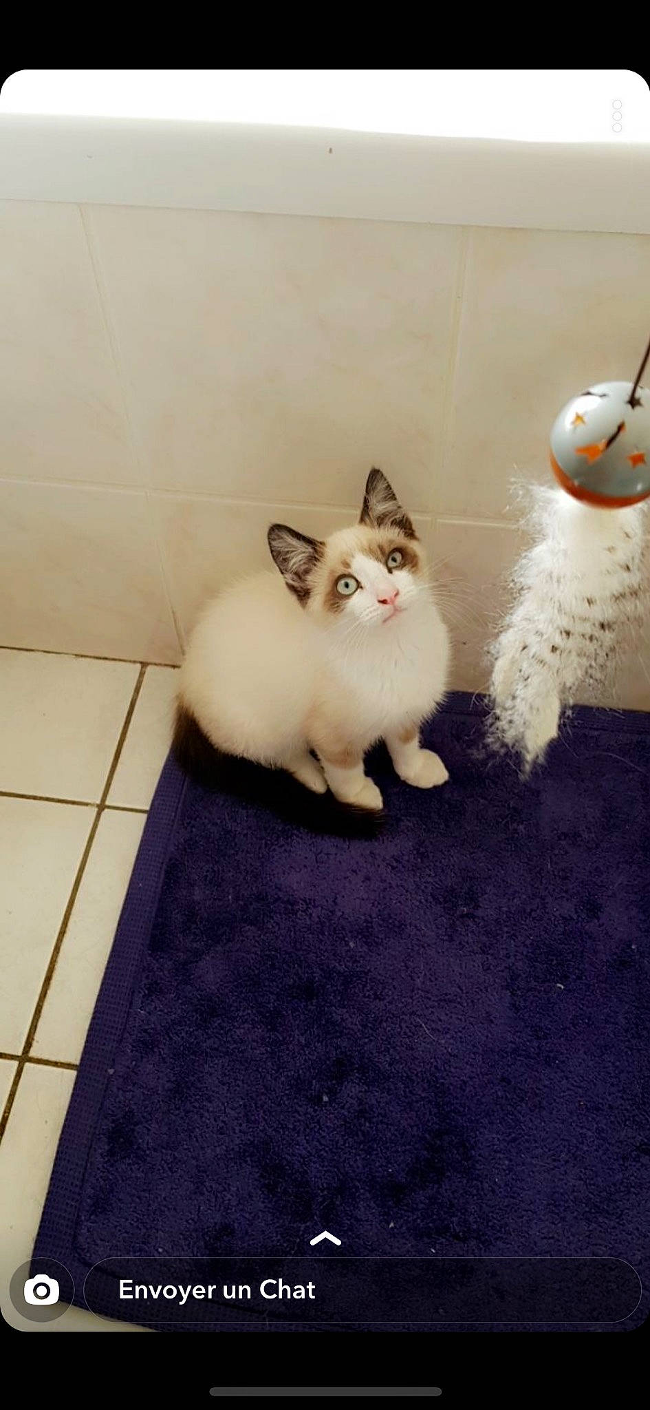 Rox a rejoint le concours — aidez-le/la à gagner de superbes lots !